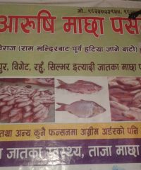 New Aarushi Fish Shop