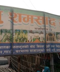 New Samsad Nursery Rajbiraj Saptari