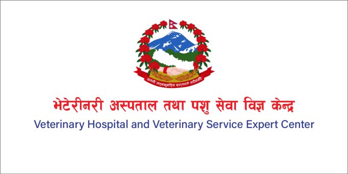 Veterinary Hospital and Veterinary Service Expert Center